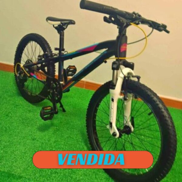 Bicicleta Orbea MX